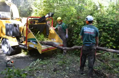 tree services Apple Valley